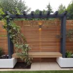 backyard design narrow