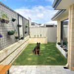 backyard design layout small