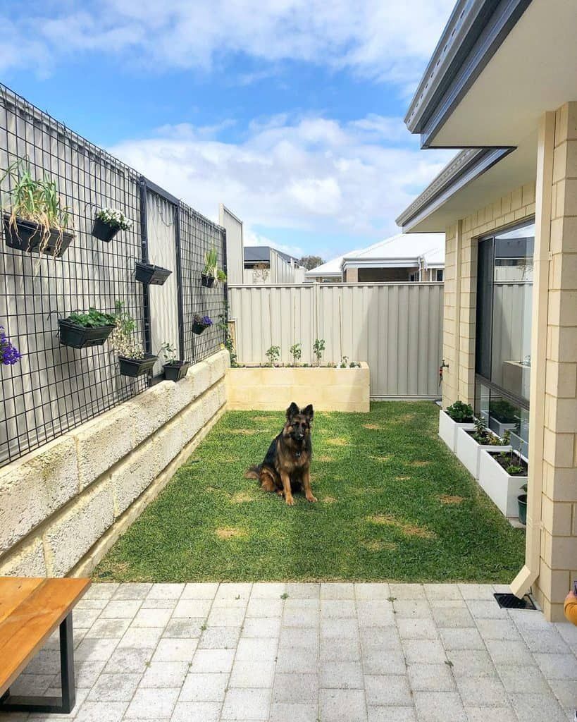 Maximizing Space: Small Backyard Design
Layouts to Create a Stunning Outdoor Oasis