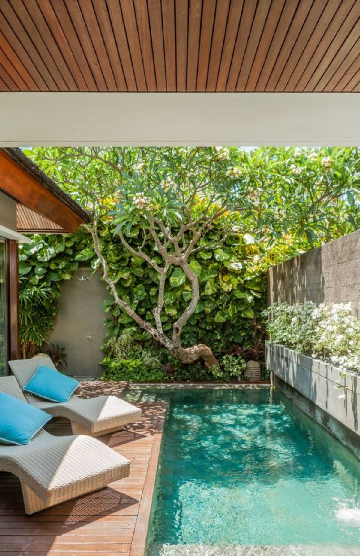 Maximizing Space: The Benefits of Small
Backyard Pools