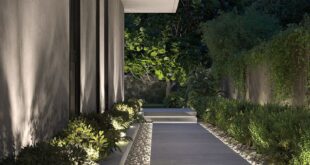 backyard design narrow