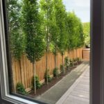 backyard design along fence