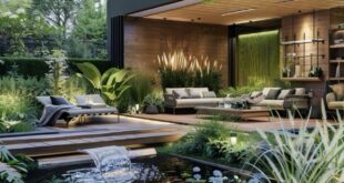 backyard design contemporary