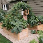 backyard design with vegetable garden