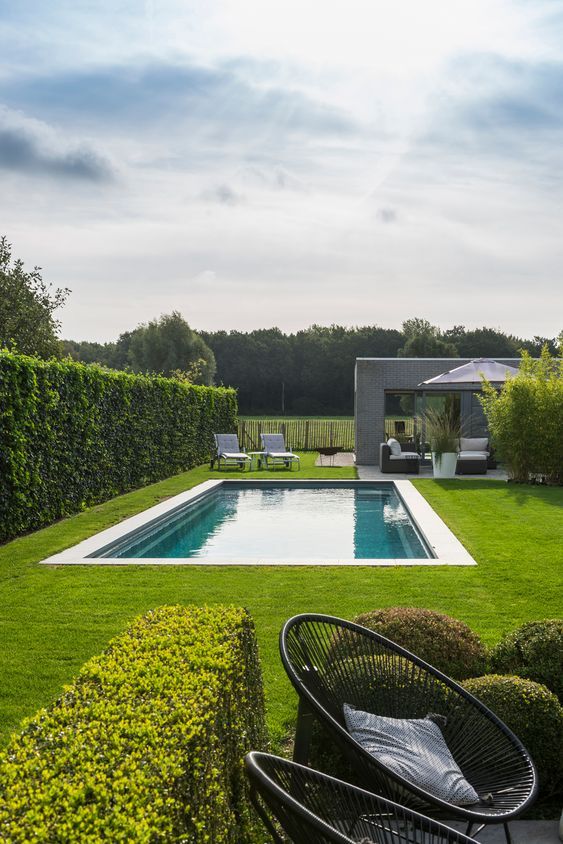 Revamp Your Outdoor Oasis: Modern Pool
Design Tips for Your Backyard