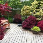 backyard design japanese