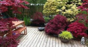 backyard design japanese