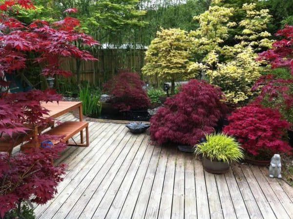 Revamp Your Outdoor Space with
Japanese-Inspired Backyard Design