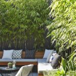 backyard design bamboo