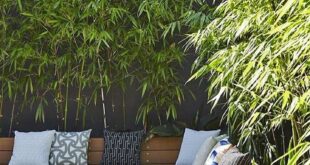 backyard design bamboo