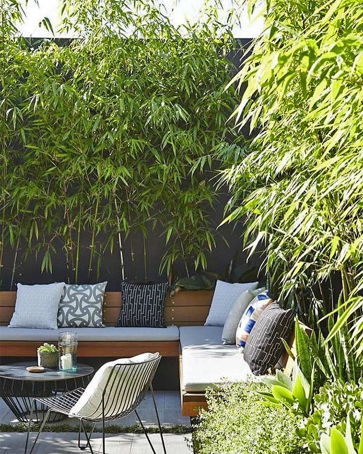 Revamp Your Outdoor Space with Stunning
Bamboo Backyard Designs