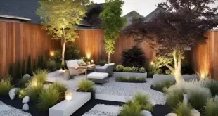 backyard design modern