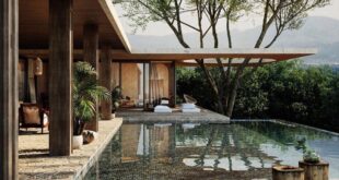 backyard design architecture