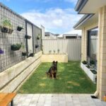 Small Backyard Design Ideas