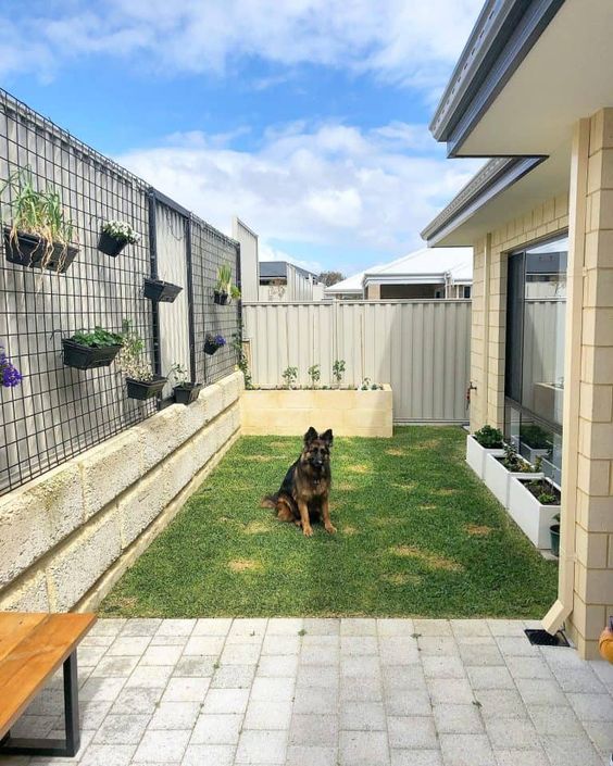 Maximizing Space: Creative Small Backyard
Design Ideas