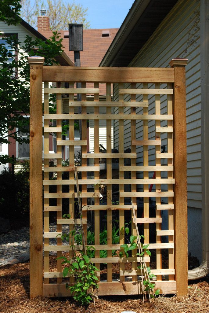 Stunning Backyard Garden Fence Ideas to
Elevate Your Outdoor Space