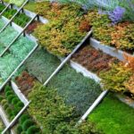 Tackling-the-Challenges-of-Sloped-Backyard-Landscaping-Tips-and-Tricks.jpg