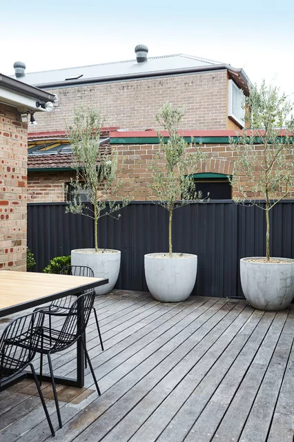 The Beauty and Benefits of Incorporating
Trees into Your Backyard Design