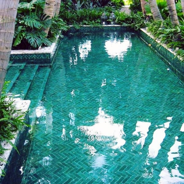 The Ultimate Guide to Designing and
Building Your Dream Swimming Pool in Your Backyard