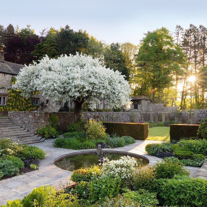 Timeless Elegance: The Classic Backyard
Design Ideas Every Homeowner Needs