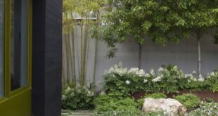 backyard design bamboo