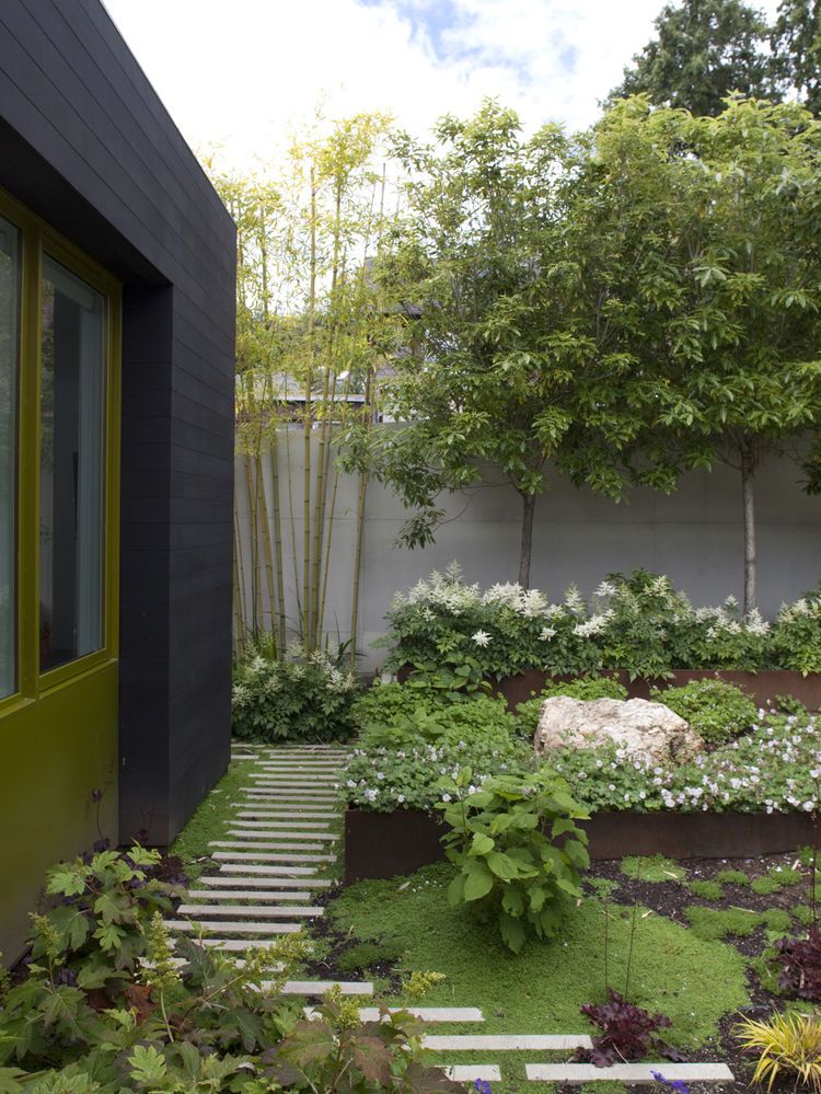 Transform Your Backyard with Stunning
Bamboo Design Ideas