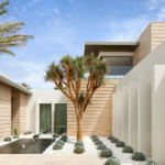 backyard design desert