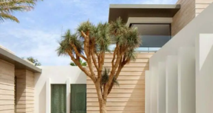 backyard design desert