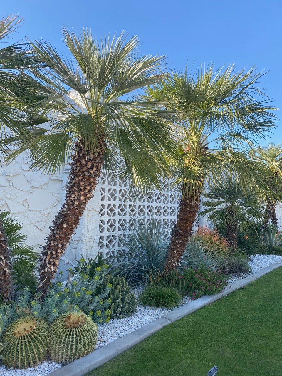 Transform Your Backyard with Stunning
Tree Designs: A Guide to Enhancing Your Outdoor Space