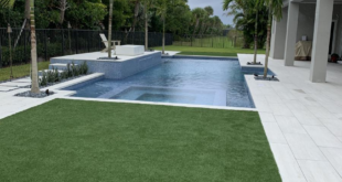 backyard design turf