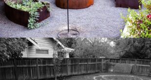 backyard design with vegetable garden