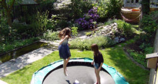 backyard design trampoline