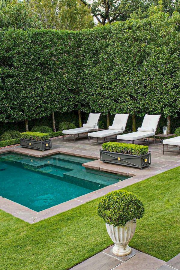 Transform Your Outdoor Oasis: Stunning
Backyard Design Ideas with Pool Layouts