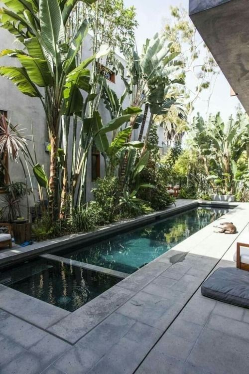 Transform Your Outdoor Oasis: The
Ultimate Guide to Creating a Stunning Backyard Pool