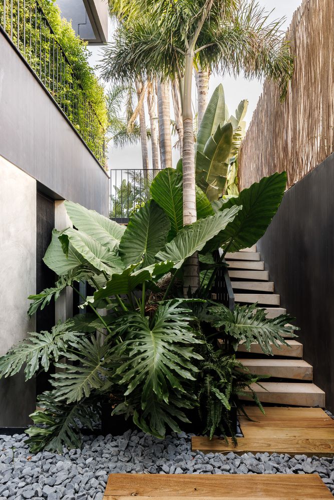 Creating a Lush Paradise: Tropical
Landscape Design Ideas for Your Backyard