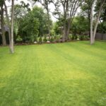 Transform-Your-Outdoor-Space-A-Guide-to-Large-Backyard-Landscaping.jpg