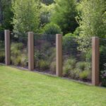 backyard design along fence