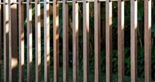 backyard design fence