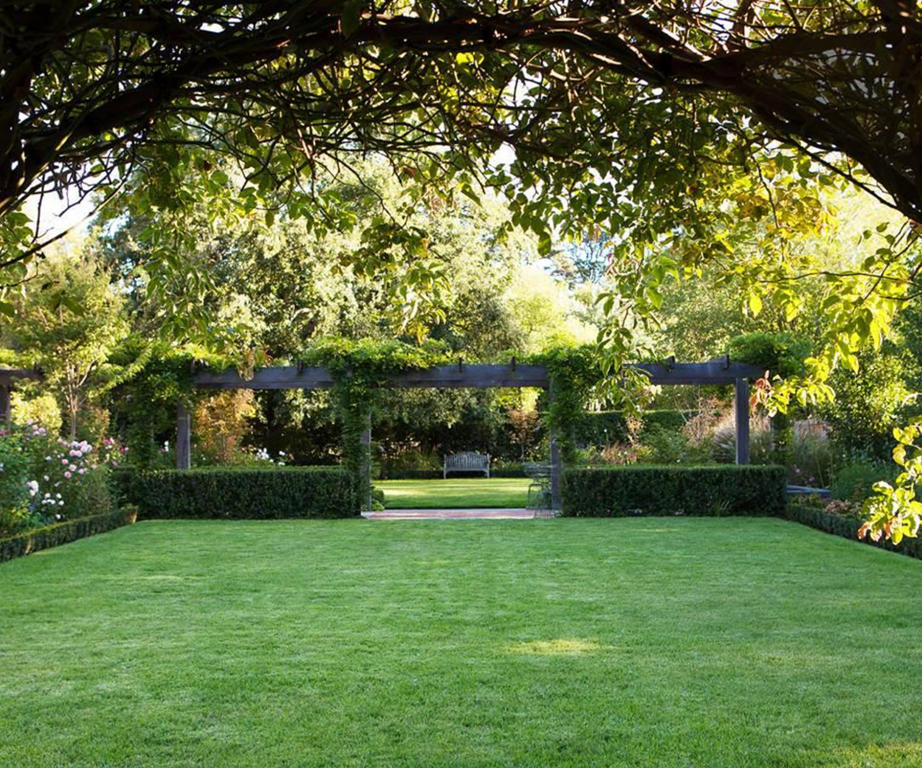 Transform Your Outdoor Space: How to
Design a Stunning Large Backyard Landscape