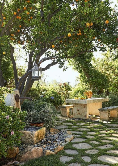 Creating the Perfect Backyard Oasis: A
Guide to Designing Your Outdoor Aesthetic