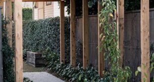 backyard landscaping designs