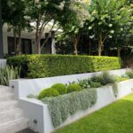 landscape design backyard