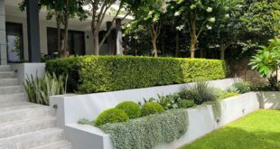 landscape design backyard