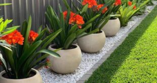 how to design backyard landscaping