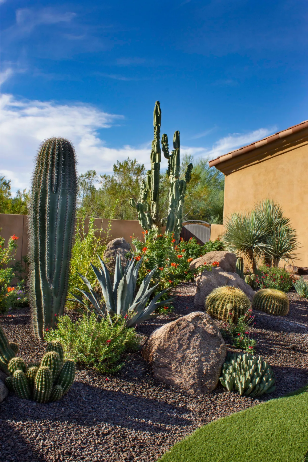 Transform Your Outdoor Space: Tips for
creating a stunning desert-inspired backyard design