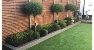 backyard landscaping