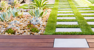 backyard design turf