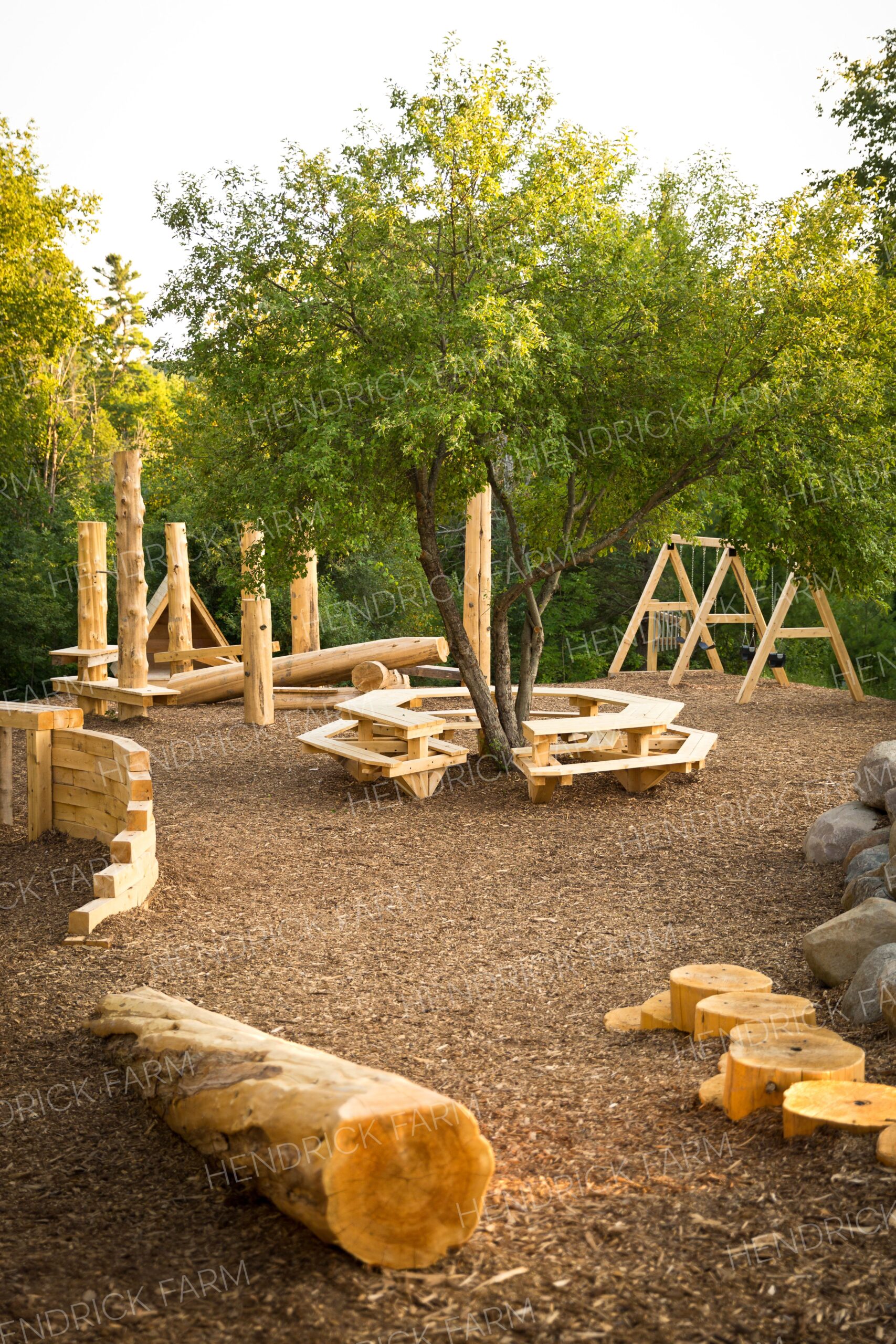 Transform Your Outdoor Space with a
Custom Backyard Design Playground