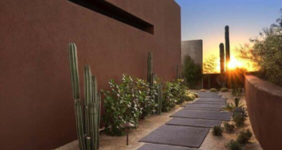 backyard design desert