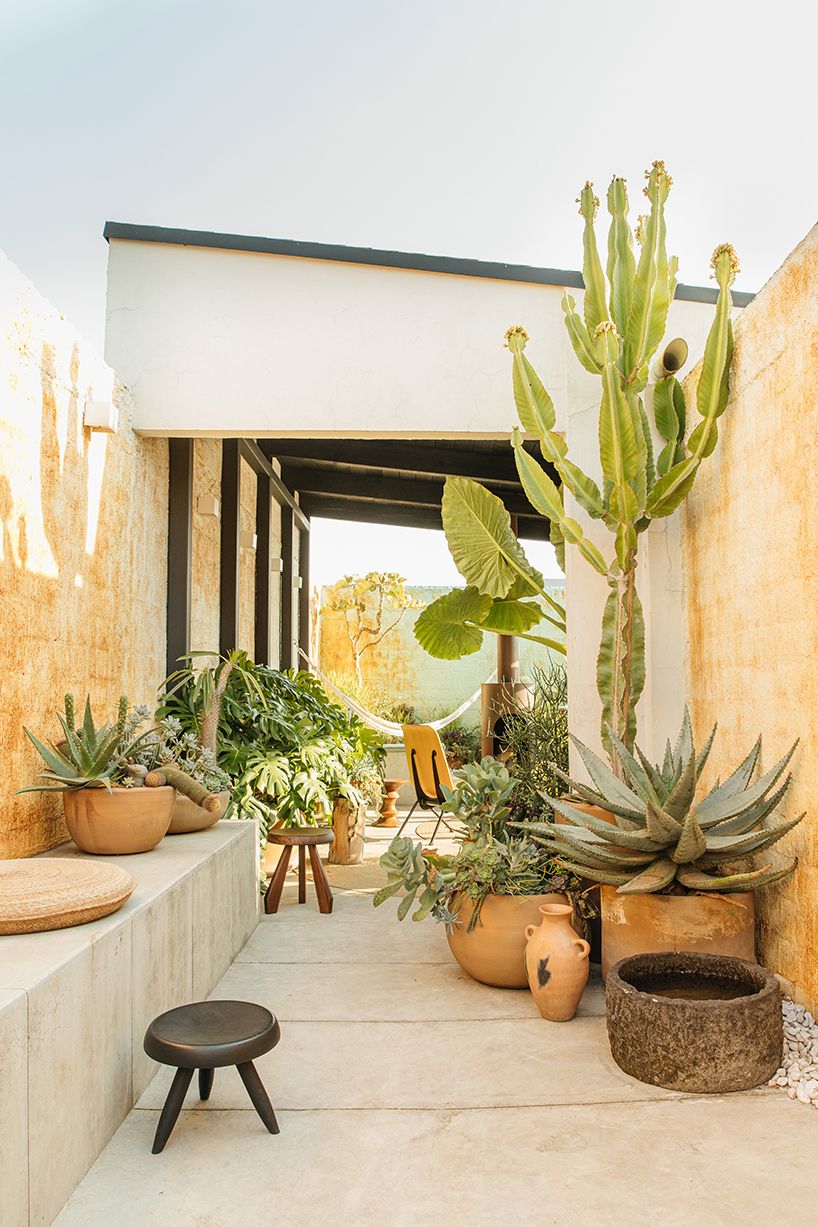 Transforming Your Backyard into a Desert
Oasis: Essential Design Tips